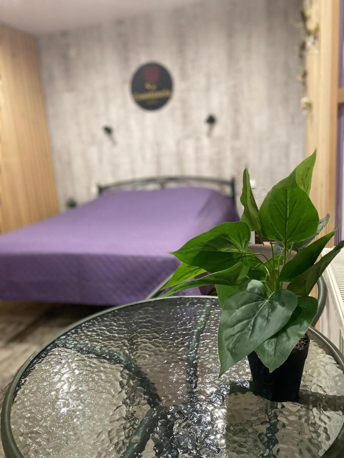 Constancia Hotell Kamenets-Podolsk Eksteriør bilde